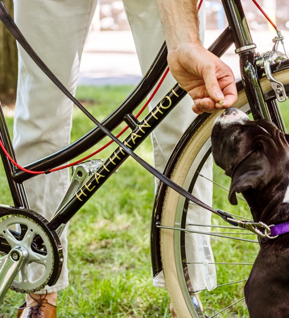 Man with his bicycle treating dog